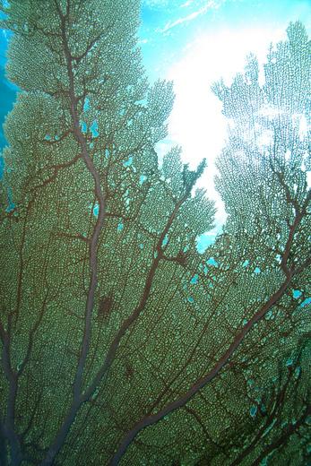 Thumbnail for original image