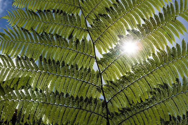 Thumbnail for original image