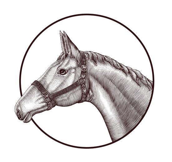 Thumbnail for original image