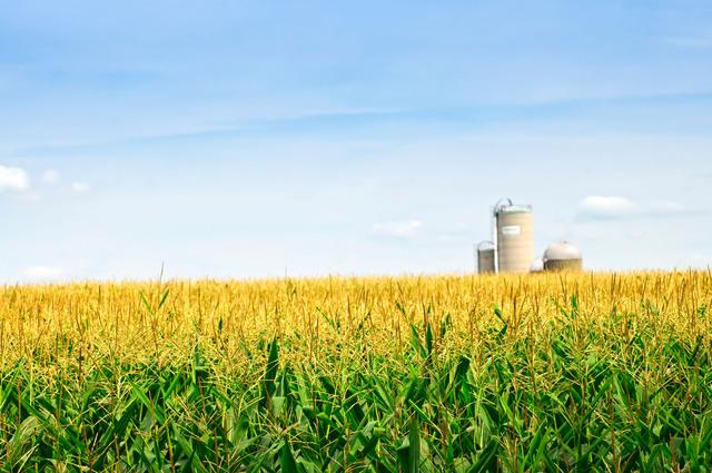 Thumbnail for original image