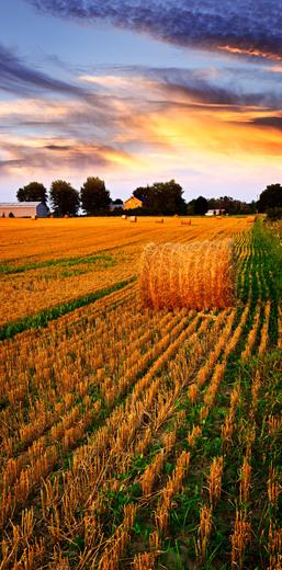 Thumbnail for original image