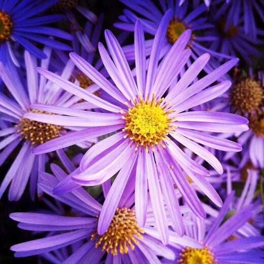 Thumbnail for original image