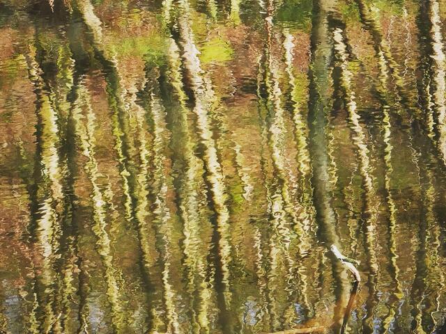 Thumbnail for original image