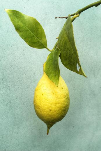 Thumbnail for original image