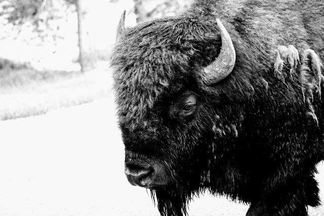 Thumbnail for original image