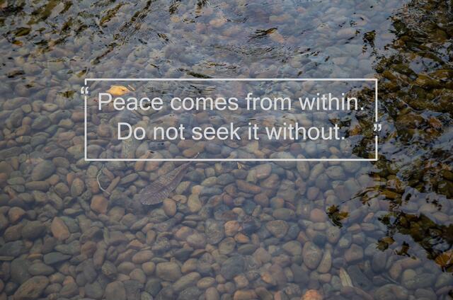 Thumbnail for original image