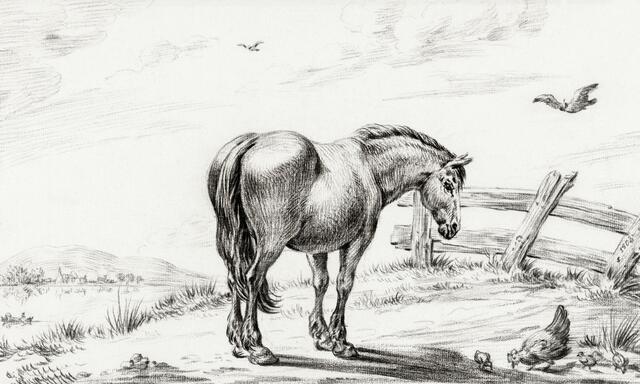 Thumbnail for original image