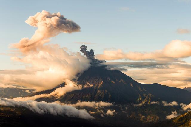 Thumbnail for original image