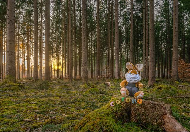 Thumbnail for original image