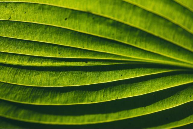 Thumbnail for original image