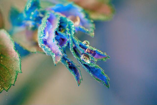 Thumbnail for original image