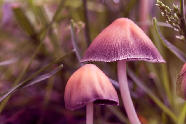 Thumbnail for original image