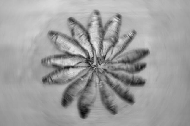 Thumbnail for original image