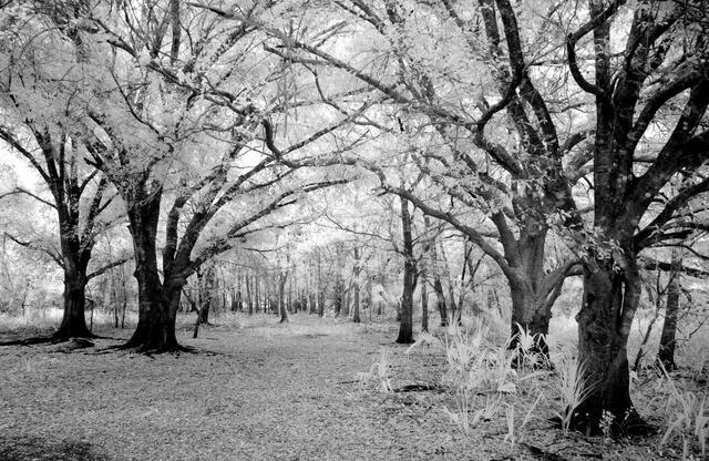 Thumbnail for original image