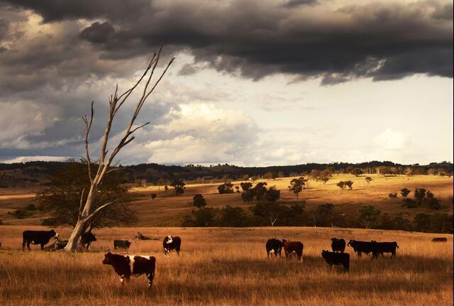 Thumbnail for original image