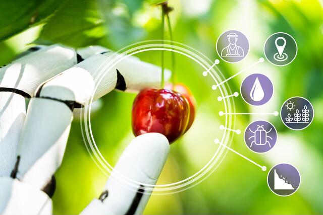 Thumbnail for original image