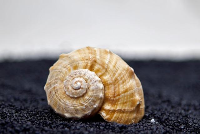 Thumbnail for original image