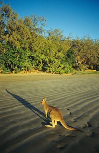 Thumbnail for original image