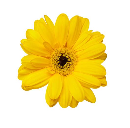 Thumbnail for original image