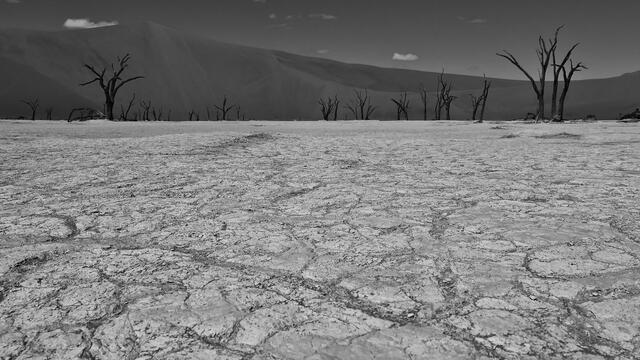 Thumbnail for original image