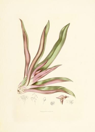 Thumbnail for original image