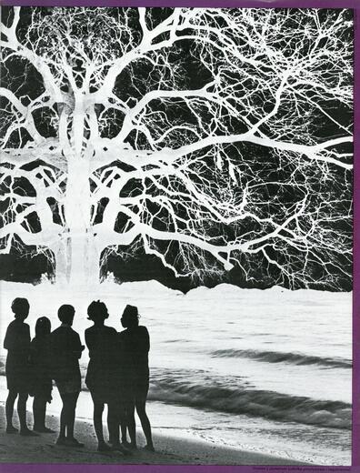 Thumbnail for original image