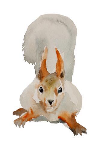 Thumbnail for original image