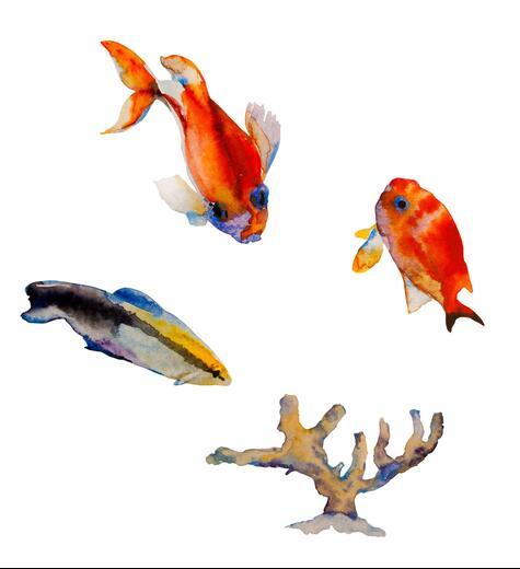 Thumbnail for original image