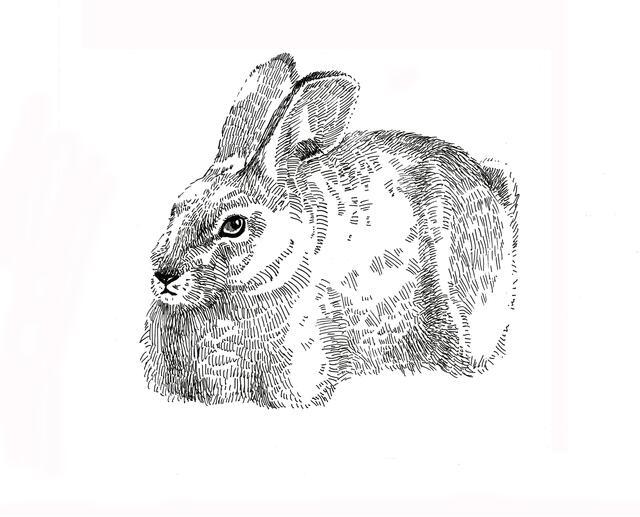 Thumbnail for original image