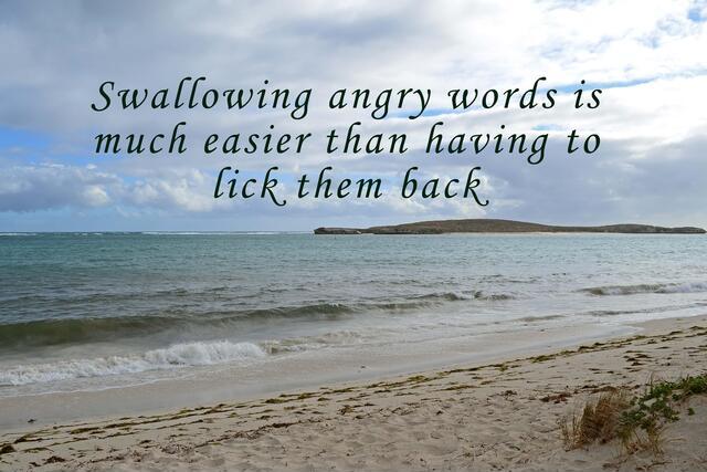 Thumbnail for original image