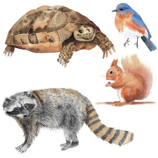 Thumbnail for original image