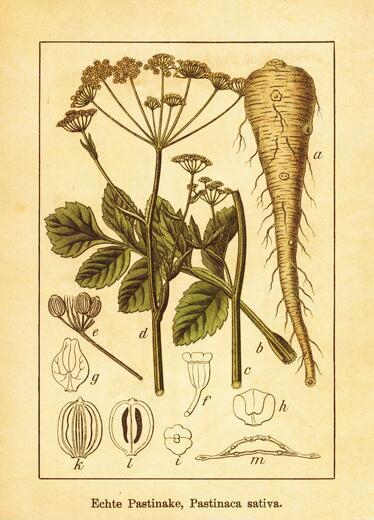 Thumbnail for original image