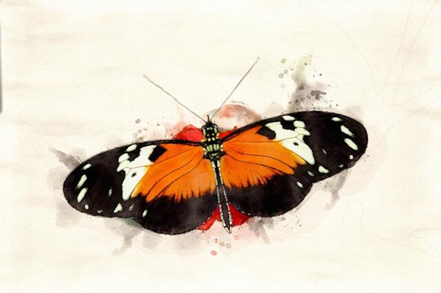 Thumbnail for original image