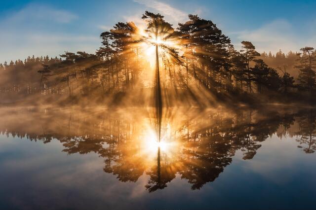 Thumbnail for original image