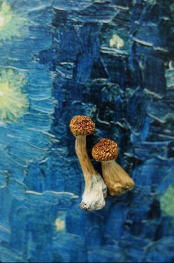 Thumbnail for original image