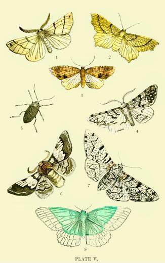 Thumbnail for original image