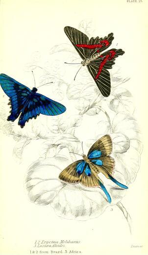 Thumbnail for original image