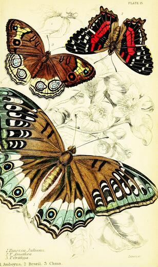 Thumbnail for original image