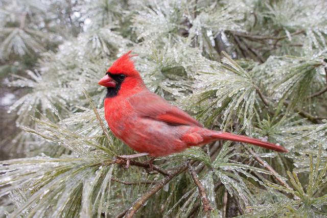 Thumbnail for original image