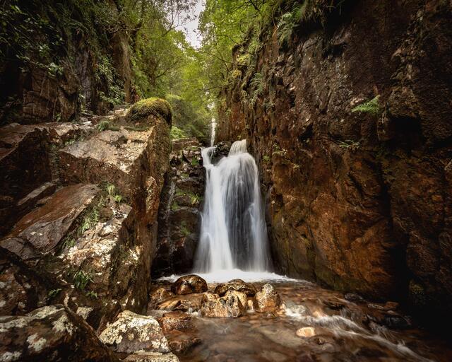 Thumbnail for original image