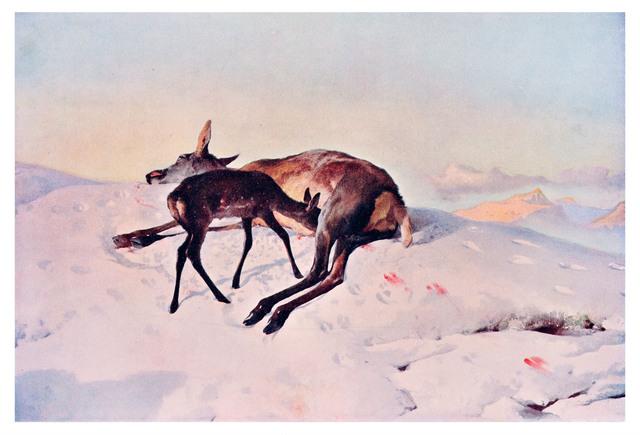 Thumbnail for original image