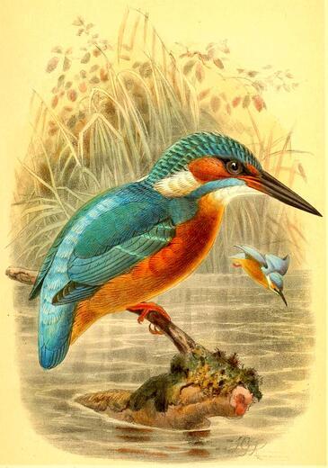 Thumbnail for original image