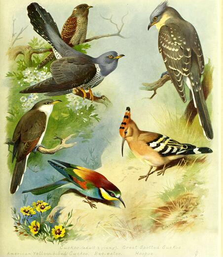 Thumbnail for original image