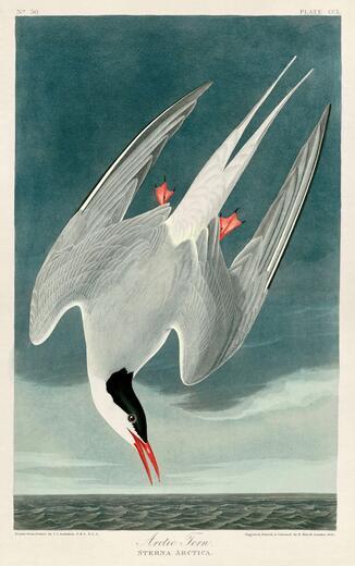 Thumbnail for original image