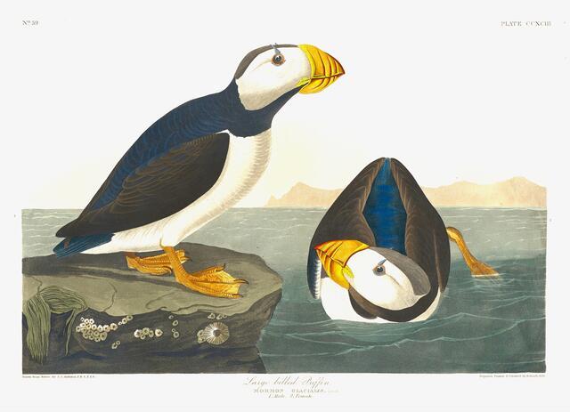 Thumbnail for original image