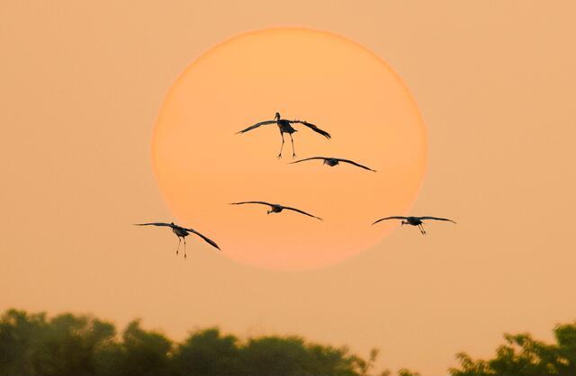 Thumbnail for original image