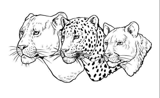 Thumbnail for original image