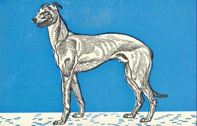 Thumbnail for original image