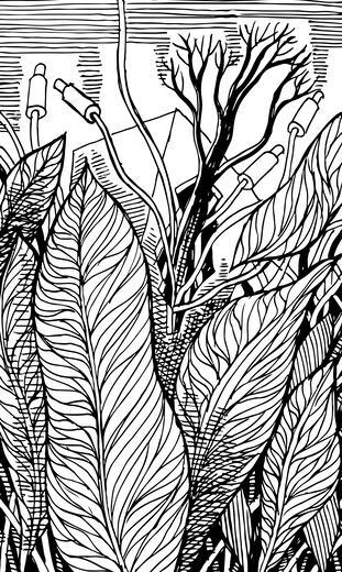 Thumbnail for original image