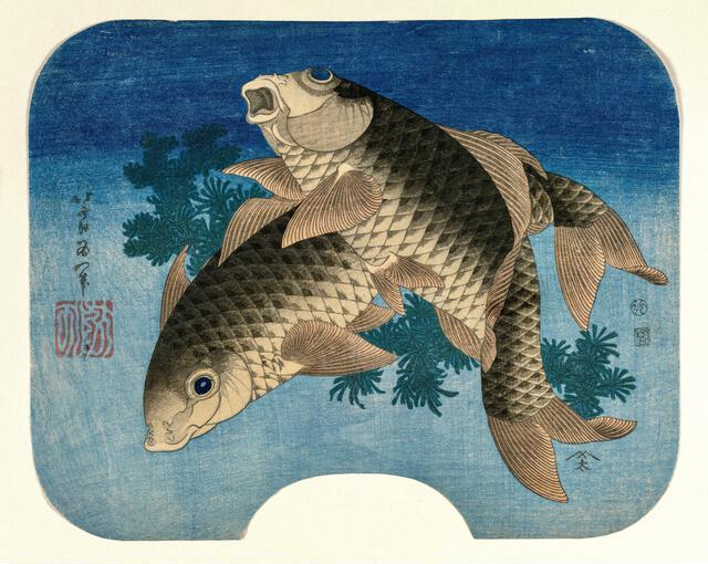 Thumbnail for original image